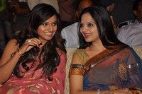 Srimannarayana Audio Release Photos